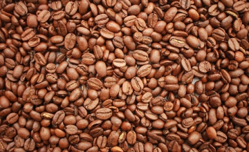 What Are the Differences Between Light, Medium and Dark Roast Coffee?