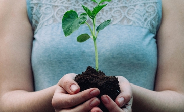 Gardening This Summer? Coffee Can Help.