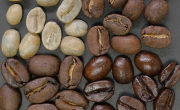 5 Ways Coffee Processing Affects Coffee Taste