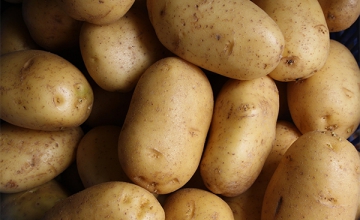 Potato Milk: Everything You Need to Know