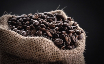 Single Origin VS Blends: What's The Difference?