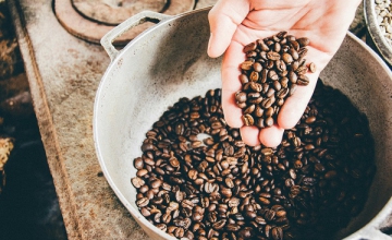 Fermentation Techniques in Coffee Processing: Pioneering New Flavours