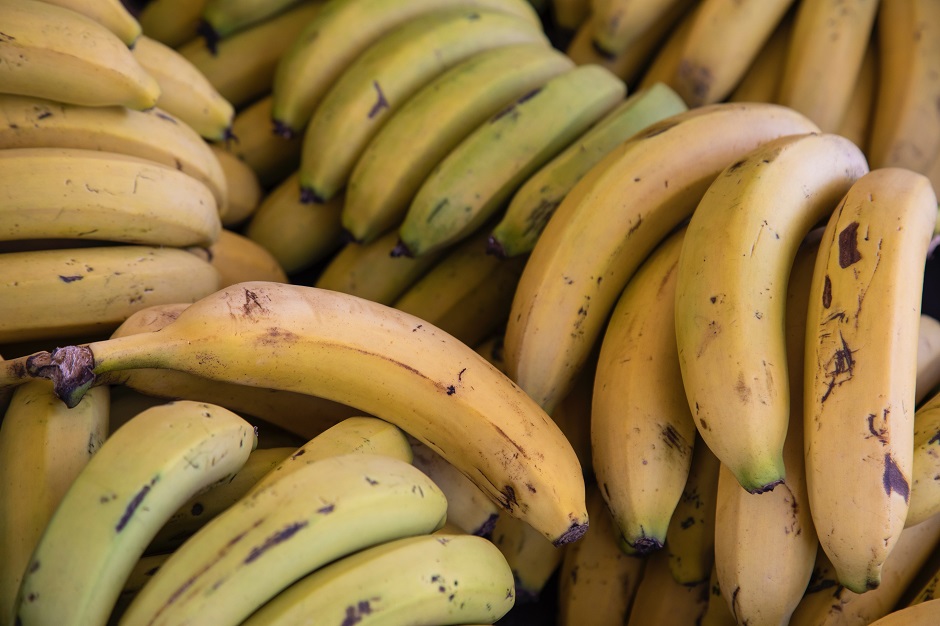 bunch of yellow bananas