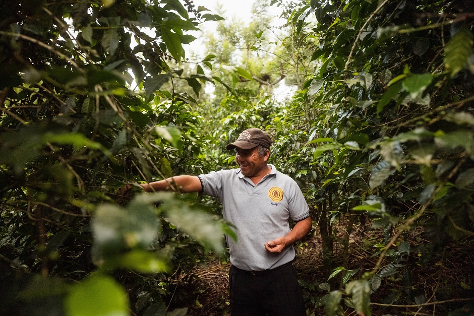 specialty coffee farmer